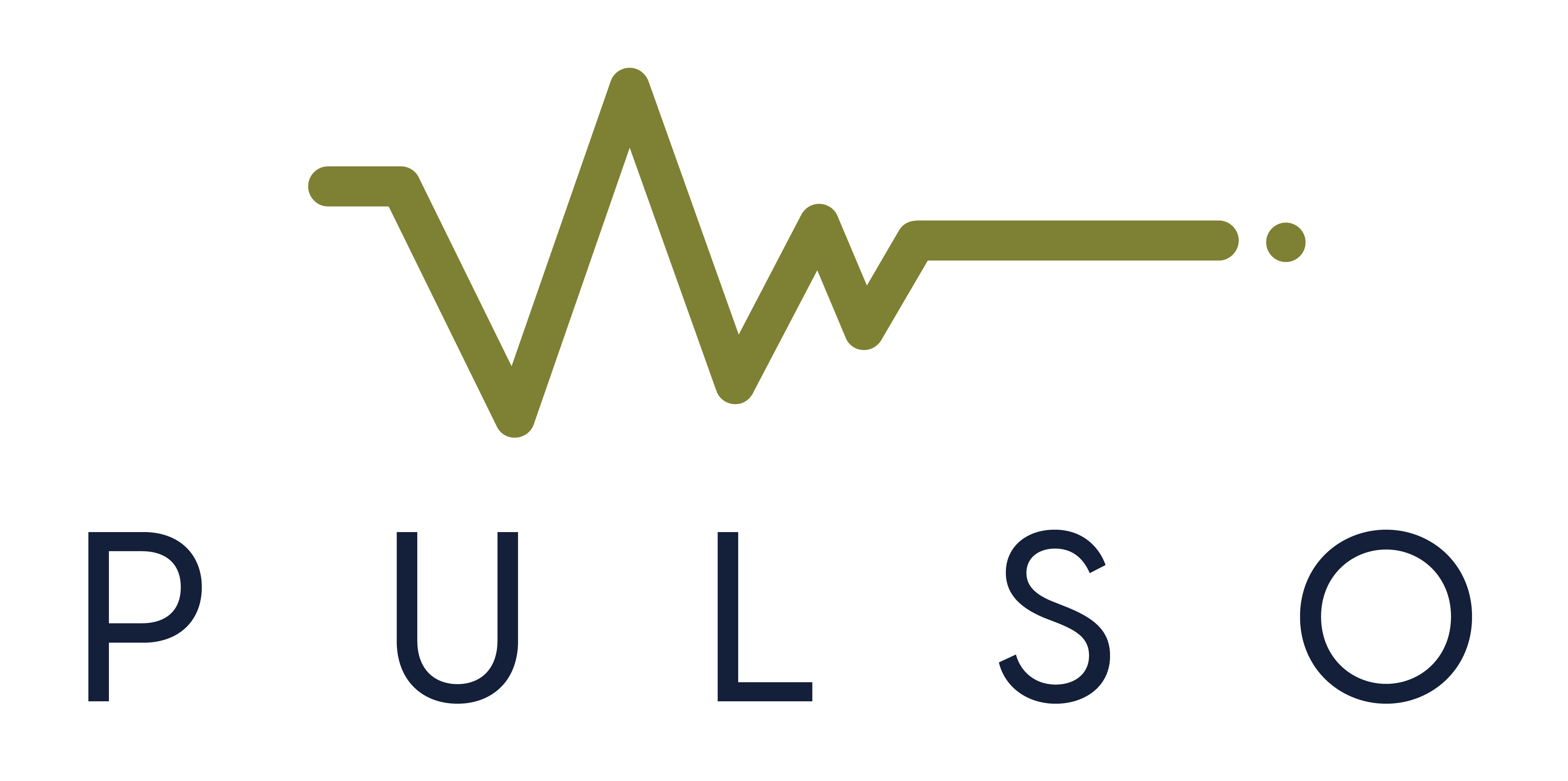 Pulso